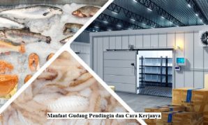 Gudang Pendingin